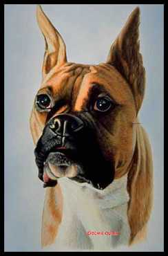 Duke Boxer by Diane Querry Pricing Limited Edition Print image