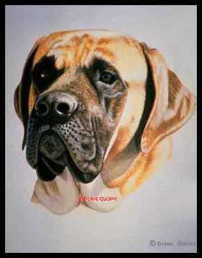 King Mastiff by Diane Querry Pricing Limited Edition Print image