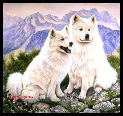 Samoyeds by Diane Querry Pricing Limited Edition Print image