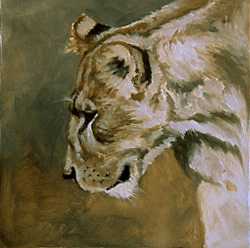Lioness Study Ii by Kindrie Grove Pricing Limited Edition Print image