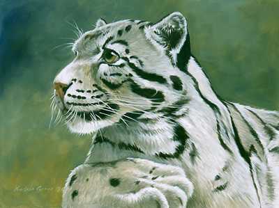 Clouded Leopard Port by Kindrie Grove Pricing Limited Edition Print image