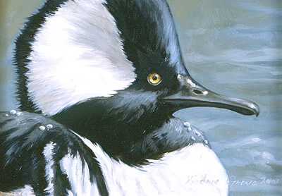 Hooded Merganser by Kindrie Grove Pricing Limited Edition Print image