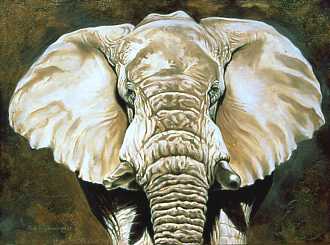 Magnificent One Ii by Kindrie Grove Pricing Limited Edition Print image