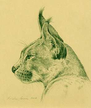 Caracal Port by Kindrie Grove Pricing Limited Edition Print image