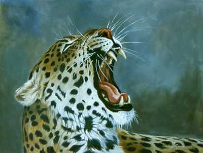 Yawn by Kindrie Grove Pricing Limited Edition Print image