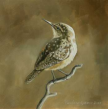 Rock Wren by Kindrie Grove Pricing Limited Edition Print image
