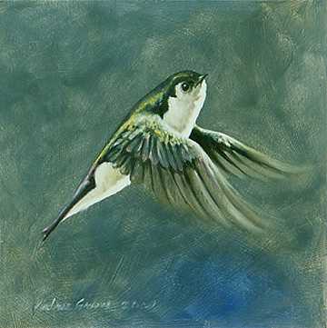 Violet Green Swallow by Kindrie Grove Pricing Limited Edition Print image