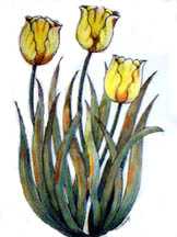 Yellow Tulips by Sheila Rickard Pricing Limited Edition Print image