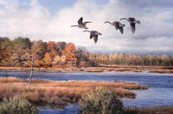 Goose Haven by Scott Zoellick Pricing Limited Edition Print image