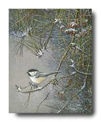 Chickadee Dee Dee by Scott Zoellick Pricing Limited Edition Print image