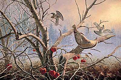 Autumn Orchard Grouse by David A Maass Pricing Limited Edition Print image