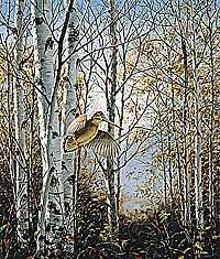 Solitary Woodco by David A Maass Pricing Limited Edition Print image