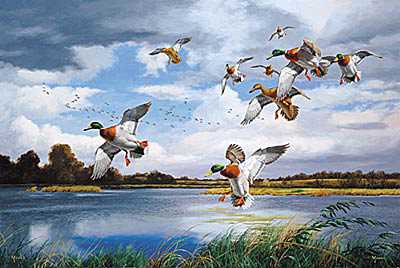 Mallard Rendezvous by David A Maass Pricing Limited Edition Print image