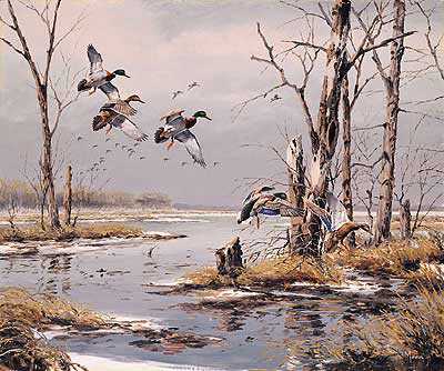 Mallards by David A Maass Pricing Limited Edition Print image