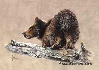 Wet Bear Grizz Thght by Angie Okamoto-Ong Pricing Limited Edition Print image