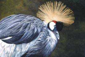 Crowned Crane by Allen Blagden Pricing Limited Edition Print image