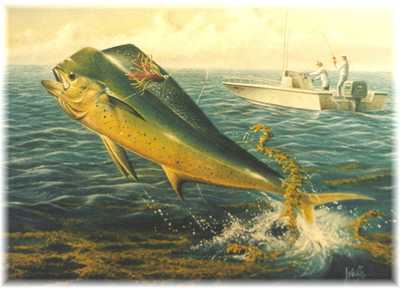 Dolphinfish by Ronnie Wells Pricing Limited Edition Print image