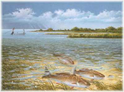 Shallow Water Reds by Ronnie Wells Pricing Limited Edition Print image