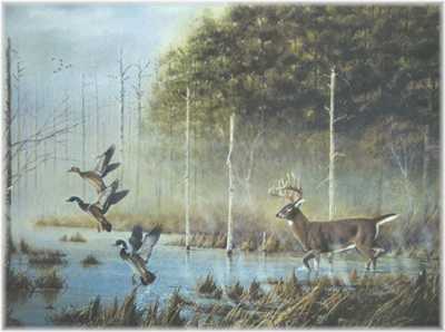 Wetlands Encounter by Ronnie Wells Pricing Limited Edition Print image