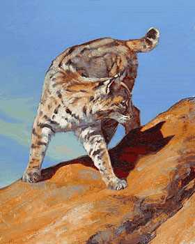 Switchback Cat by Julie Chapman Pricing Limited Edition Print image