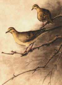 Mounting Doves by Melanie Fain Pricing Limited Edition Print image