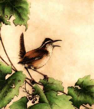 Carolina Wren by Melanie Fain Pricing Limited Edition Print image