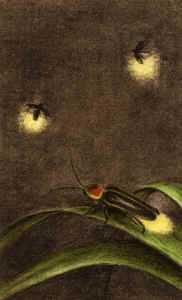 Fireflies by Melanie Fain Pricing Limited Edition Print image