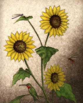 Sunflowers by Melanie Fain Pricing Limited Edition Print image