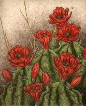Claret Cups by Melanie Fain Pricing Limited Edition Print image