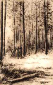 Carlton Woods by Melanie Fain Pricing Limited Edition Print image