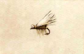 Elk Hair Caddis by Melanie Fain Pricing Limited Edition Print image