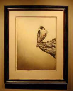 Peregrine Falcon by Melanie Fain Pricing Limited Edition Print image