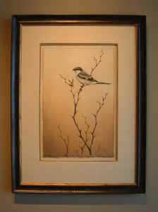 Butcher Bird by Melanie Fain Pricing Limited Edition Print image
