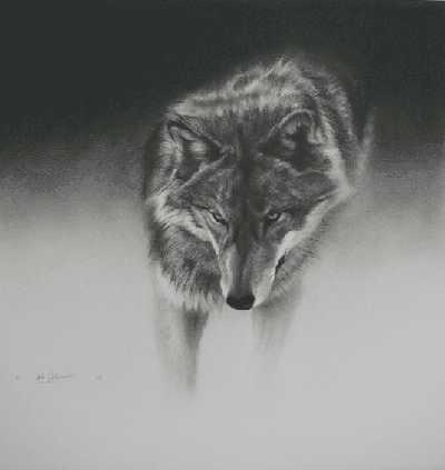 Gray Wolf by Cole Johnson Pricing Limited Edition Print image