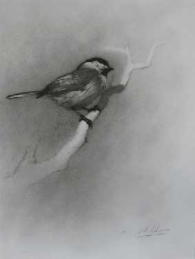 Blackcapped Chickadee by Cole Johnson Pricing Limited Edition Print image