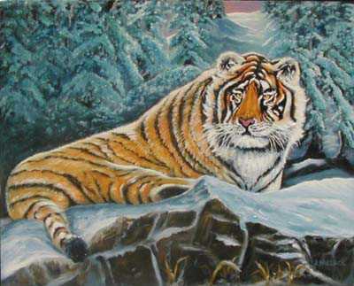 Siberian Solitude by Anthony Wallace Pricing Limited Edition Print image