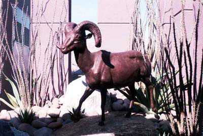 Desert Big Horn Ram by Curt Mattson Pricing Limited Edition Print image