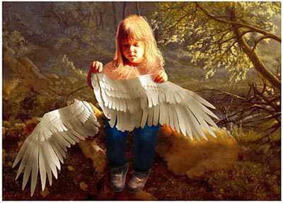 Paper Wings by Roberta Wesley Pricing Limited Edition Print image