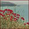 Poppies by Laurie Regan Chase Pricing Limited Edition Print image