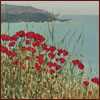 Poppies by Laurie Regan Chase Pricing Limited Edition Print image