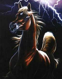 Storm Encounter by Sharlene Lindskog-Osorio Pricing Limited Edition Print image