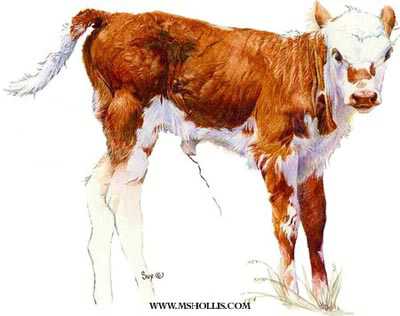 Udderly Adorabl by M Sue Hollis Pricing Limited Edition Print image