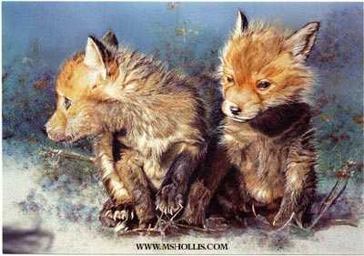 Little Wild Ones by M Sue Hollis Pricing Limited Edition Print image