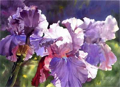 Garden Iris by Mark E Mehaffey Pricing Limited Edition Print image