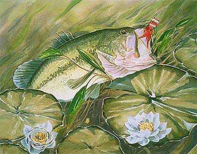 Largemouth Bass by Bob White Pricing Limited Edition Print image