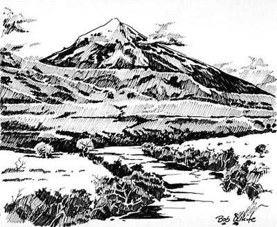 Volcano Lanin by Bob White Pricing Limited Edition Print image