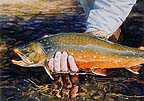 One Last Lk Arctc by Bob White Pricing Limited Edition Print image
