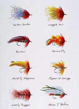 Chum Salmon Selectn Hc by Bob White Pricing Limited Edition Print image