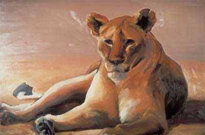 Lioness by Pat Wallis Pricing Limited Edition Print image