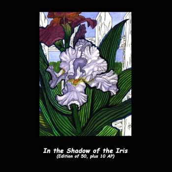 In Shadow Of Iris by Debi Mortenson Pricing Limited Edition Print image